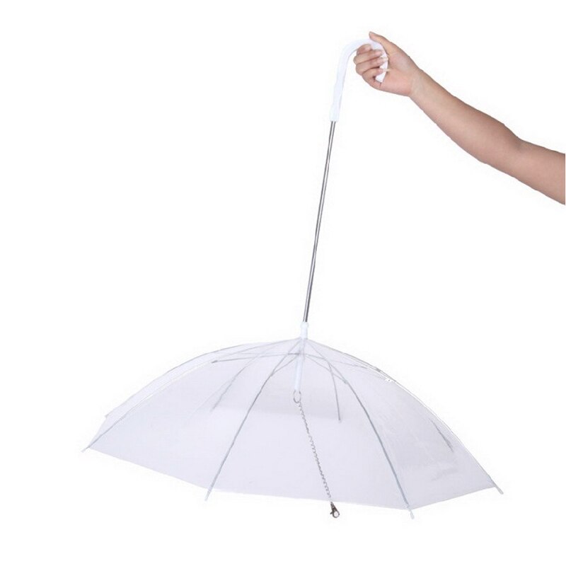 Parapluie transparent avec laisse